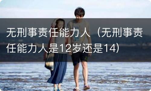 无刑事责任能力人（无刑事责任能力人是12岁还是14）