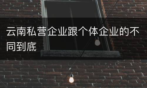 云南私营企业跟个体企业的不同到底