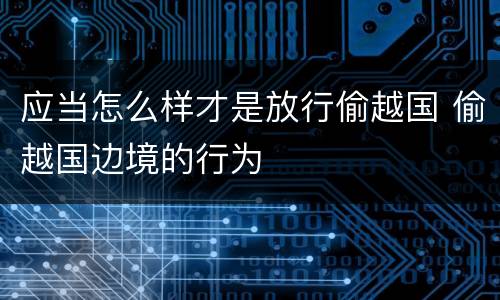 应当怎么样才是放行偷越国 偷越国边境的行为