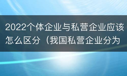 2022个体企业与私营企业应该怎么区分（我国私营企业分为什么）