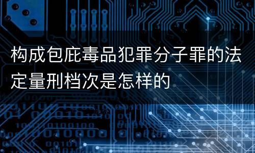 构成包庇毒品犯罪分子罪的法定量刑档次是怎样的