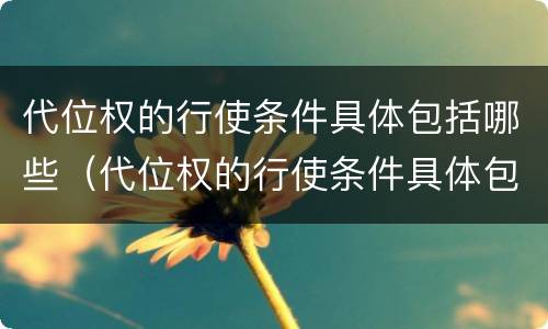代位权的行使条件具体包括哪些（代位权的行使条件具体包括哪些条款）