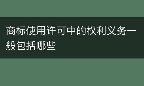 商标使用许可中的权利义务一般包括哪些