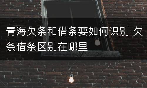 青海欠条和借条要如何识别 欠条借条区别在哪里
