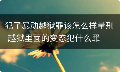犯了暴动越狱罪该怎么样量刑 越狱里面的变态犯什么罪
