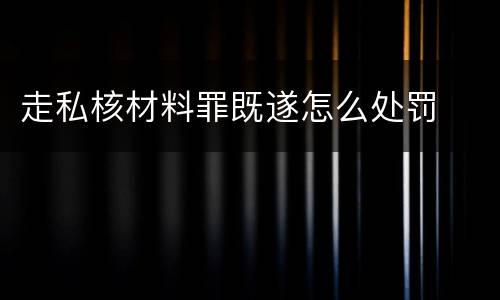 走私核材料罪既遂怎么处罚