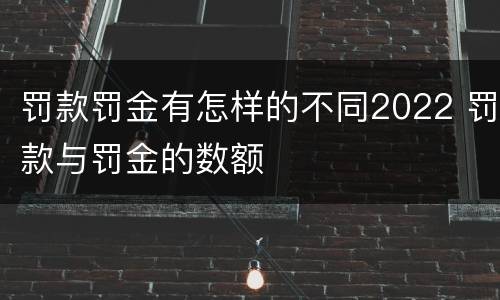 罚款罚金有怎样的不同2022 罚款与罚金的数额