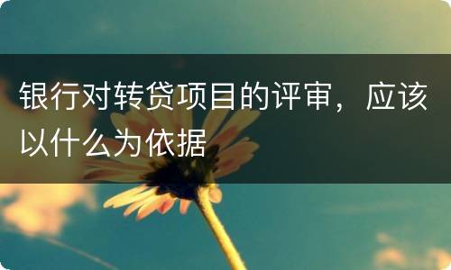 银行对转贷项目的评审，应该以什么为依据