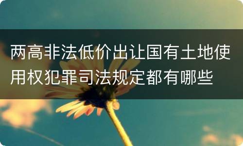 两高非法低价出让国有土地使用权犯罪司法规定都有哪些