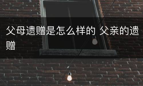 父母遗赠是怎么样的 父亲的遗赠