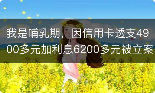 我是哺乳期，因信用卡透支4900多元加利息6200多元被立案侦查了，会被判刑吗