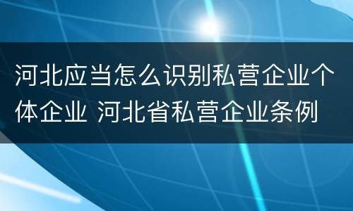 河北应当怎么识别私营企业个体企业 河北省私营企业条例