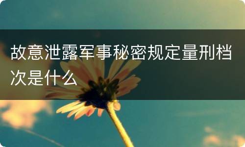 故意泄露军事秘密规定量刑档次是什么