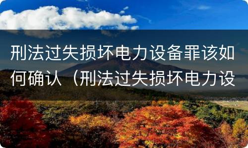 刑法过失损坏电力设备罪该如何确认（刑法过失损坏电力设备罪该如何确认责任）