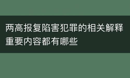 两高报复陷害犯罪的相关解释重要内容都有哪些