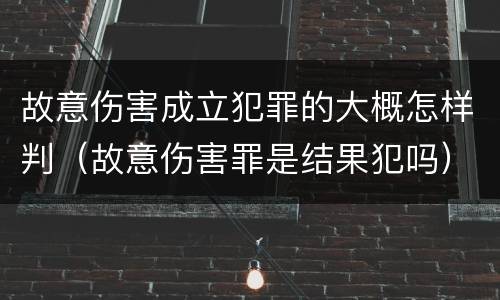 故意伤害成立犯罪的大概怎样判（故意伤害罪是结果犯吗）