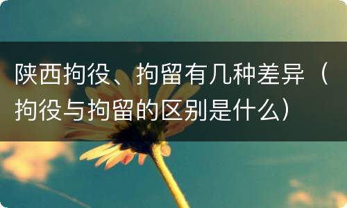 陕西拘役、拘留有几种差异（拘役与拘留的区别是什么）