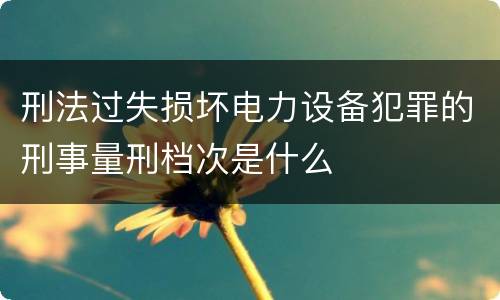 刑法过失损坏电力设备犯罪的刑事量刑档次是什么