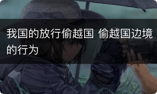 我国的放行偷越国 偷越国边境的行为