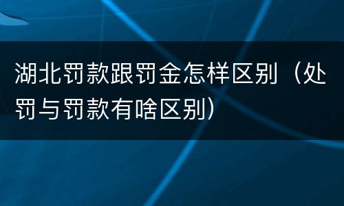 湖北罚款跟罚金怎样区别（处罚与罚款有啥区别）