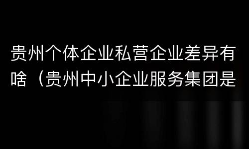 贵州个体企业私营企业差异有啥（贵州中小企业服务集团是民营）
