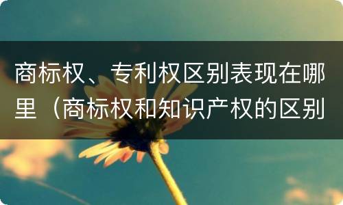 商标权、专利权区别表现在哪里（商标权和知识产权的区别）