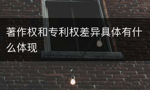 著作权和专利权差异具体有什么体现