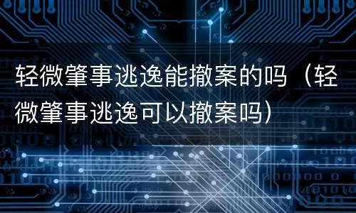 轻微肇事逃逸能撤案的吗（轻微肇事逃逸可以撤案吗）