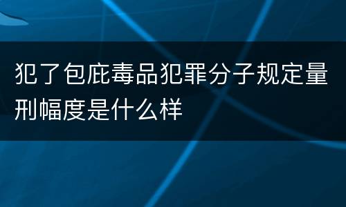 犯了包庇毒品犯罪分子规定量刑幅度是什么样