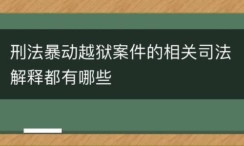 刑法暴动越狱案件的相关司法解释都有哪些