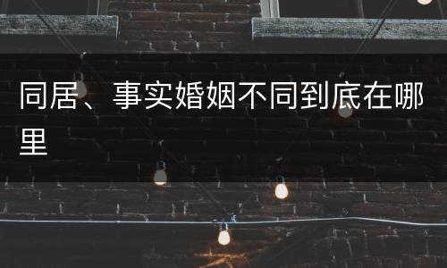 同居、事实婚姻不同到底在哪里