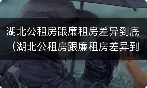 湖北公租房跟廉租房差异到底（湖北公租房跟廉租房差异到底有多大）