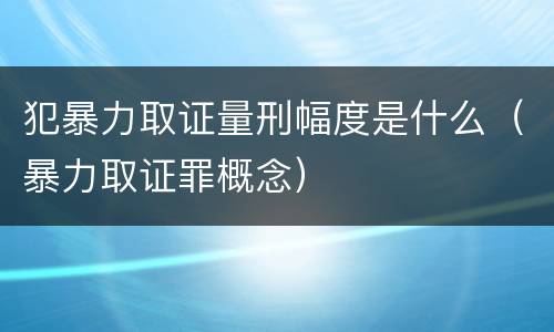 犯暴力取证量刑幅度是什么（暴力取证罪概念）