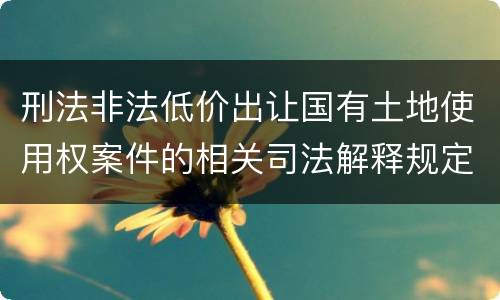 刑法非法低价出让国有土地使用权案件的相关司法解释规定主要内容