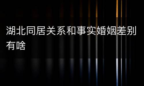湖北同居关系和事实婚姻差别有啥