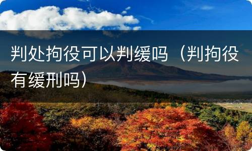 判处拘役可以判缓吗（判拘役有缓刑吗）