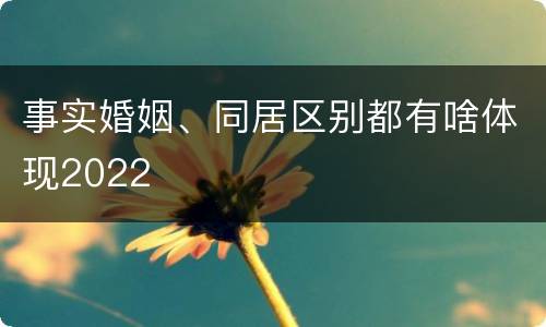 事实婚姻、同居区别都有啥体现2022