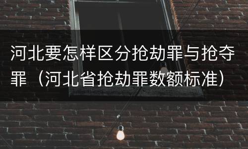 河北要怎样区分抢劫罪与抢夺罪（河北省抢劫罪数额标准）