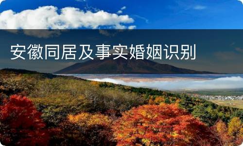 安徽同居及事实婚姻识别