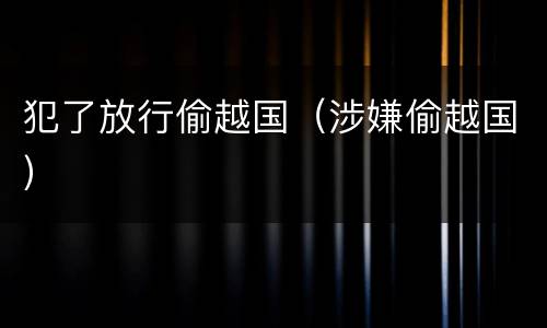 犯了放行偷越国（涉嫌偷越国）