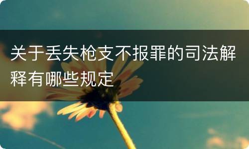 关于丢失枪支不报罪的司法解释有哪些规定