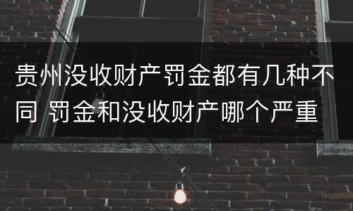 贵州没收财产罚金都有几种不同 罚金和没收财产哪个严重