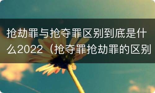 抢劫罪与抢夺罪区别到底是什么2022（抢夺罪抢劫罪的区别）