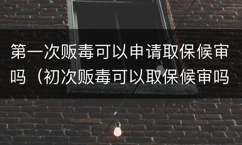 第一次贩毒可以申请取保候审吗（初次贩毒可以取保候审吗）