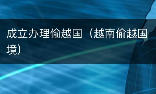 成立办理偷越国（越南偷越国境）