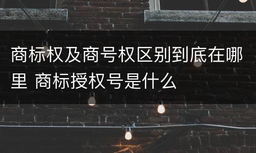 商标权及商号权区别到底在哪里 商标授权号是什么