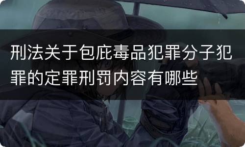 刑法关于包庇毒品犯罪分子犯罪的定罪刑罚内容有哪些