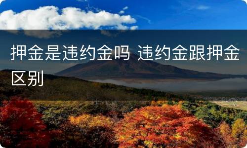 押金是违约金吗 违约金跟押金区别