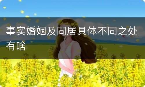 事实婚姻及同居具体不同之处有啥