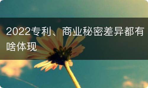 2022专利、商业秘密差异都有啥体现